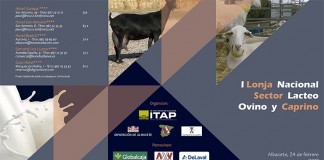 Albacete acogerá Lonja Nacional del Sector Lácteo de Ovino y Caprino