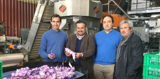 Albacete, provincia líder en superficie y producción de ajo