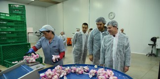 La Junta destaca la contribución a vertebración del territorio del ajo