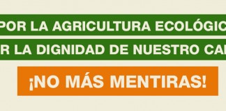 Plataforma para Defensa de Agricultura Ecológica se concentra en Toledo