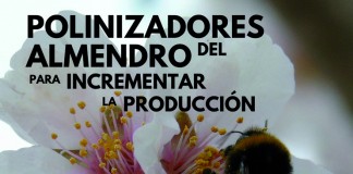 Jornada sobre polinizadores del almendro, en Albacete