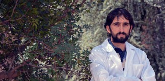 Premian una investigación de la UCLM sobre la fenología del olivo