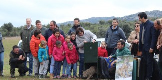 Otros dos linces ibéricos, Neón y Nasa, liberados Viso del Marqués