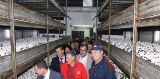 Presidente Diputación de Albacete valora anuncio de nueva ley de cooperativas rurales