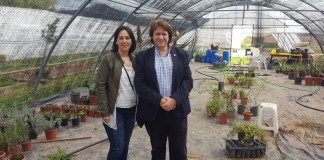 Agricultura ecológica para formar y emplear ocho alumnos en Guadálmez (CR)