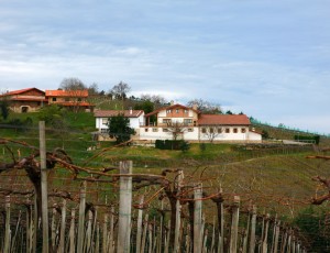 FENAVIN Txacoli Agerre