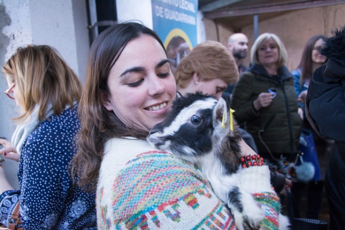 Fademur-Dia-Internacional-Mujer-alta-calidad