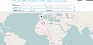 SEO/BirdLife recupera una golondrina en Sudáfrica anillada en Guadalajara