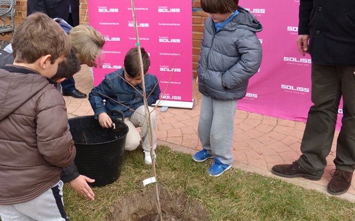 Olmo Navalucillos 28022017