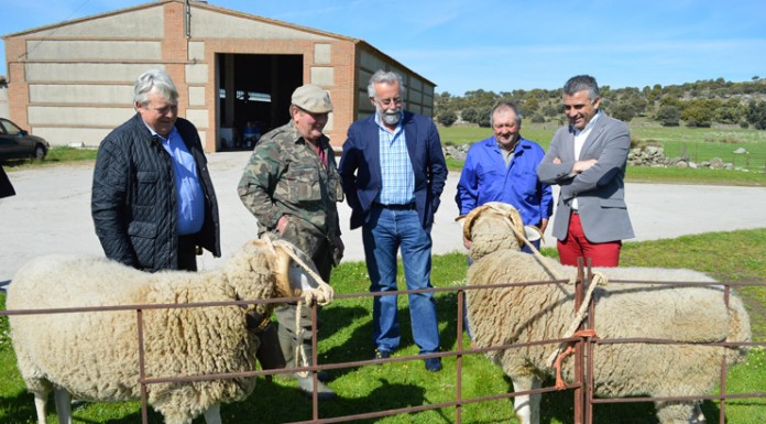 El alcalde de Talavera visita la ganadería «La Atalaya», en Gamonal