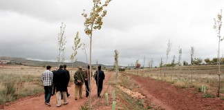 Terrinches, candidato al Premio Zerosion 2017 por su programa de reforestación