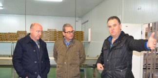 Anima productores espárragos Guadalajara a constituirse en agrupación con marca calidad