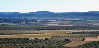 El BOE obliga a documentar los arrendamientos rústicos para cobrar la PAC tierras