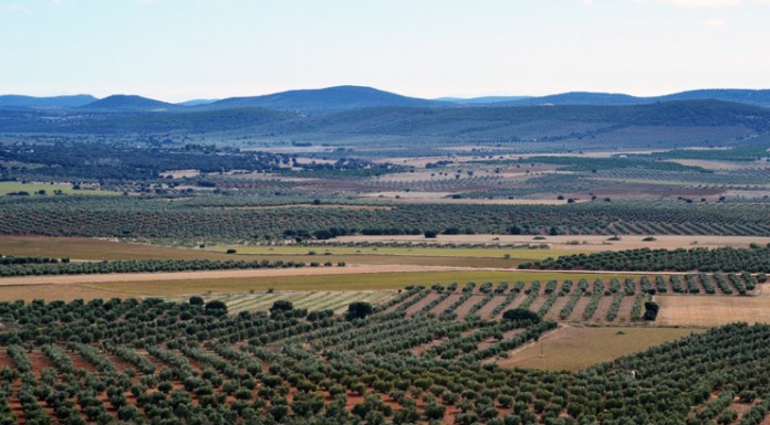 El número de agricultores y ganaderos solicitantes de la PAC sigue reduciéndose en España tierras