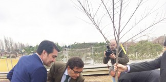 El Ministerio de Agricultura impulsará el sector forestal