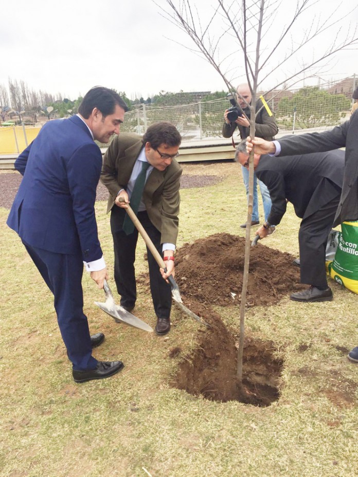cabanas dia forestal