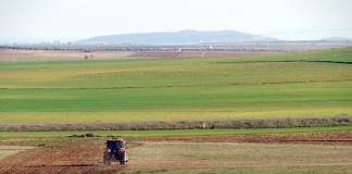 Consideran que estadísticas renta agraria se alejan de realidad del campo
