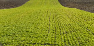 Castilla-La Mancha, Aragón y Navarra debatirán sobre la PAC