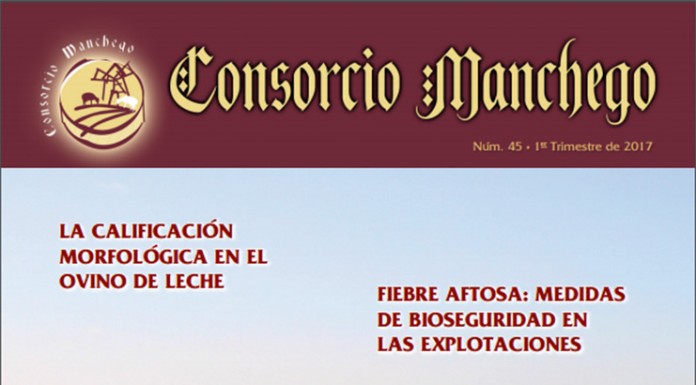 ‘Consorcio Manchego’ publica el número 45 de su revista