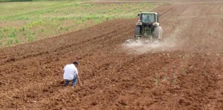 Denuncian ante Europa incumplimiento español en figura agricultor activo en PAC