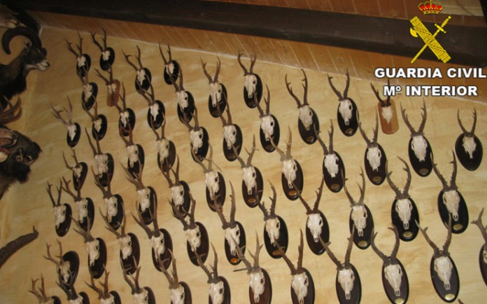 guardia-civil-caza-furtiva-pared-1024x768