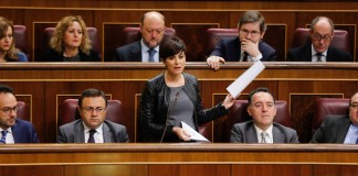 PSOE pide aumentar efectivos de seguridad ante «alarmante oleada de robos»