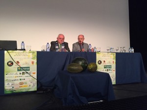 melón argamasilla 5