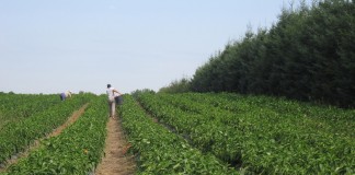 Unión Mujeres Agricultoras y Ganaderas reclama mayor visibilización de su papel