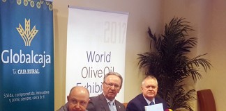 World Olive Oil, estratégica en mercado con más demanda que oferta
