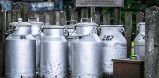 Piden soluciones para evitar aumento de pérdida ganaderos vacuno de leche leche