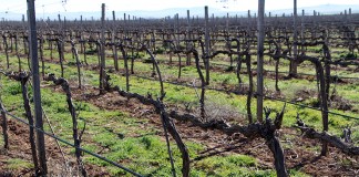 Aprobado el Plan de gestión de las zonas ZEPA