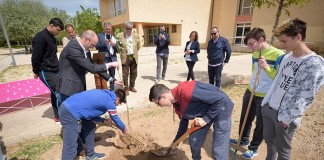 El Proyecto Olmo, de Fundación Soliss, llega a Argamasilla de Alba