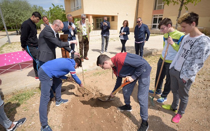 20170421_Proyecto Olmo en el IES01_AdeAlba