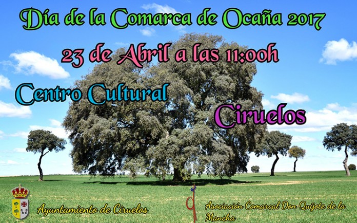 Cartel Día de la Comarca (Asociación Don Quijote)