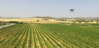 Bodega Pago del Vicario incorpora los drones al control del viñedo