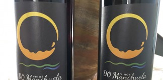 La DO Manchuela, satisfecha tras el reconocimiento como organización interprofesional