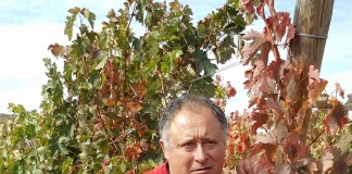 Afamado enólogo Miguel Ángel de Gregorio afirma FENAVIN es referente mundial