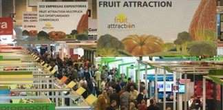 Ayudas para apoyar a empresas en internacionalización y búsqueda nuevos mercados