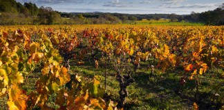 Enoturismo vinculado a Denominaciones de Origen, gran protagonista en FENAVIN 2017