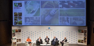 Interprofesional del Vino se pone de largo buscando aumentar el consumo