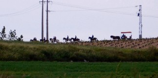 20 años recorriendo los Molinos Harineros del Guadiana de Daimiel