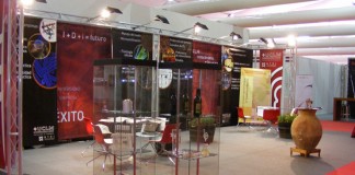 Veinte investigadores de la UCLM ofrecerán avances a bodegas de FENAVIN