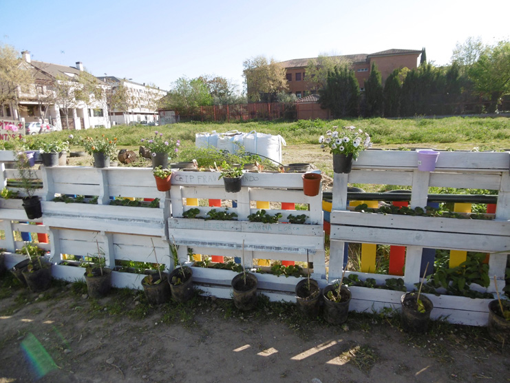 Visita ecoescuelas (1)