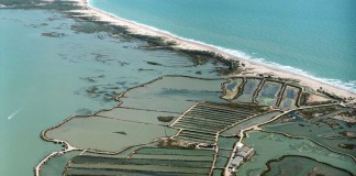 Los seguros agrarios, también importantes para la acuicultura