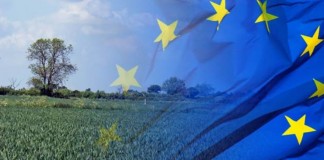 Alerta sobre el riesgo de desigualdades entre Estados miembros con el modelo propuesto de la PAC Europa