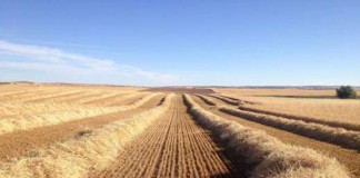 El DOCM publica la ayuda para zonas agrícolas de Red Natura 2000