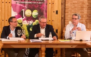 consejo rector en el progreso4