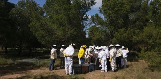 Primer curso de Cría y Aplicación de Abejas Reina en Albacete