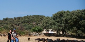 FADEMUR apuesta por titularidad compartida e incorporación mujeres jóvenes al campo