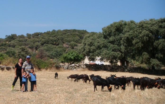 fademur familia cotitularidad